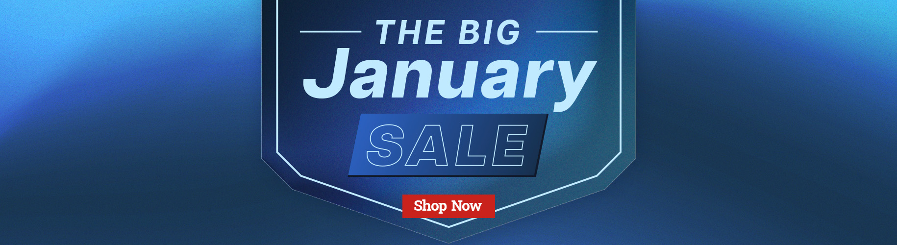 January Sale